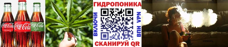 Еда ТГК марихуана  Мглин 