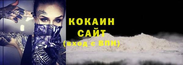 стаф Арсеньев