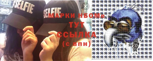 стаф Арсеньев