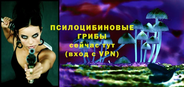 винт Армянск