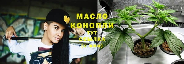 дмт Аркадак