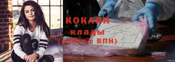 стаф Арсеньев