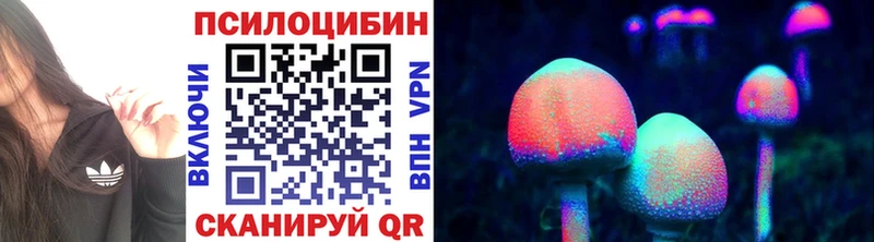 Галлюциногенные грибы Psilocybine cubensis  Мглин 
